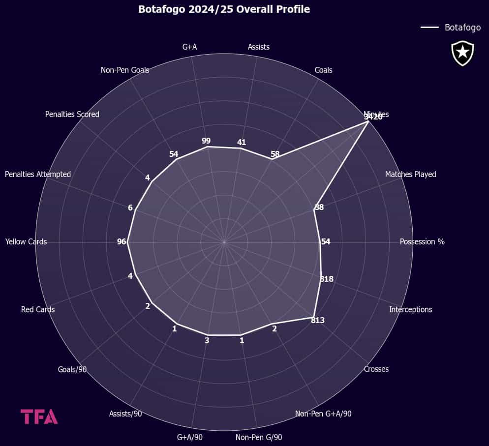 Botafogo 2024-25 Overall Profile