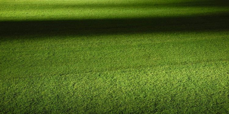 Top 10 Premier League Transfers Of All Time: Who Changed The Game Forever?