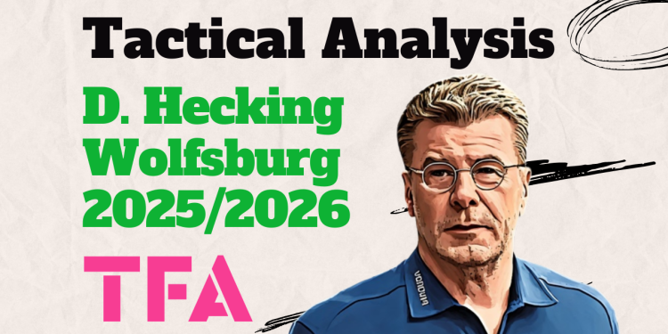 VfL Wolfsburg Daniel Bauer Dieter Hecking tactics Bundesliga 20252026