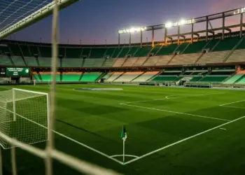 Floodlit stadium pitch in Algerian national colours—green and white—at dusk, with geometric pitch markings and goal net in sharp focus.