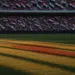 Empty floodlit stadium pitch at golden hour with dramatic shadows, packed stands in soft focus, Egyptian and Iranian flag colours visible.